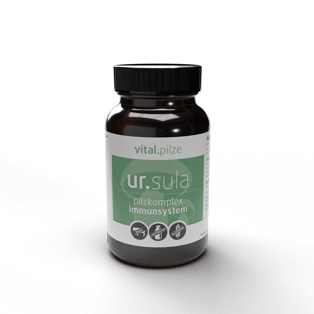 Pilzkomplex Immunsystem mit Pilzextrakten, Pflanzenstoffen und Vitaminen