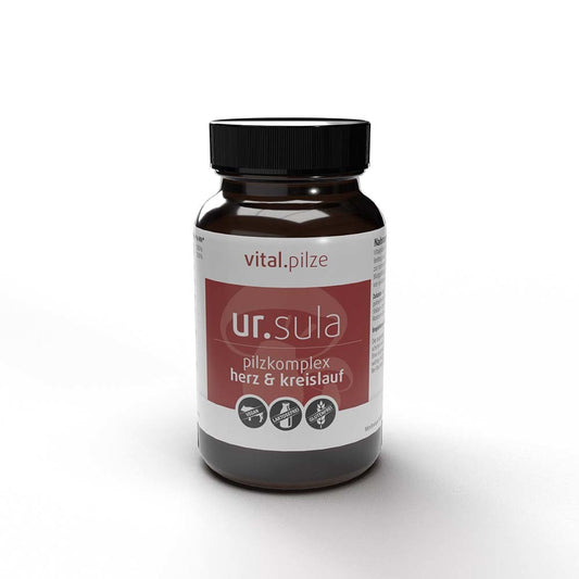 Pilzkomplex Herz & Kreislauf mit Vitaminen, Vitalpilzen und Rosmarin-Extrakt
