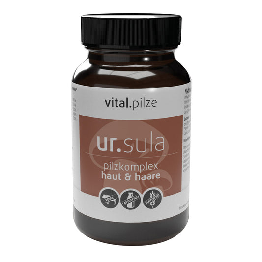Pilzkomplex Haut & Haare mit Biotin, Hyaluronsäure, Kieselerde und Zink